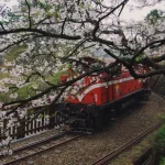 Chiayi: Alishan Day Tour & Multi-Day Tour from Chiayi