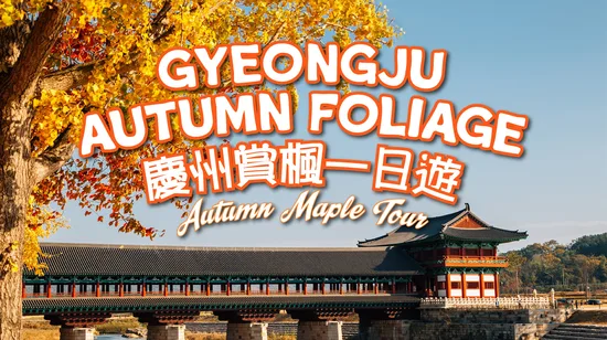 Hoa Lu, Tam Coc, Mua Cave Day Tour from Hanoi
