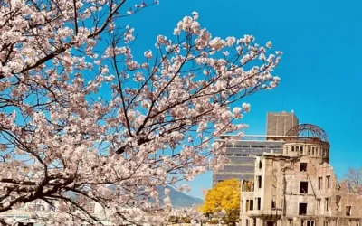 us7rhly2q3zgdc24a95b