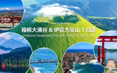 v6m8ev3cynpo3j4eizsb