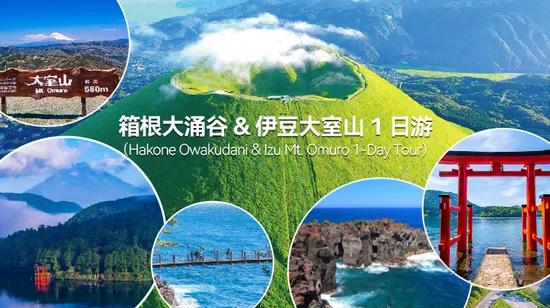 Taipei: Jinshan Hot Spring & North Coast & Yangmingshan Day Tour 8 Taipei: Jinshan Hot Spring & North Coast & Yangmingshan Day Tour