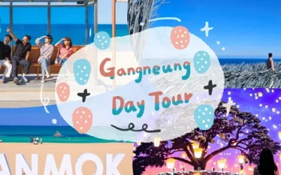 vhrezfo7lyw7to0kk7sw