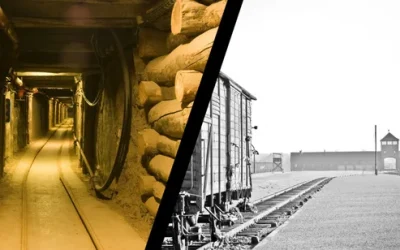 von2yaow5pfxnnmxdbtp