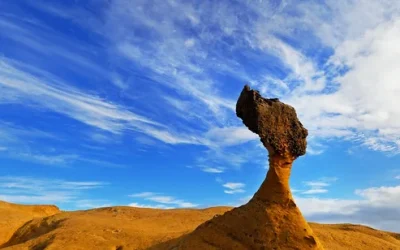 [Muslim-friendly] Yangmingshan / Yehliu Geopark Private Day Tour