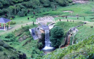 vt4nkgqdeehs6gpcyjr6