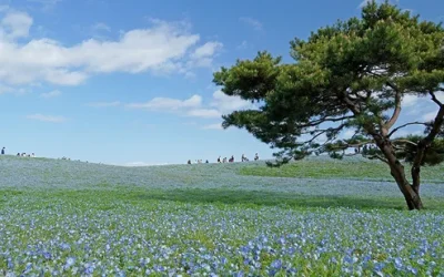 vtp3uas9mxmktc53mpwq