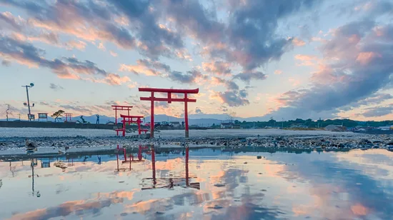 Prado and Reina Sofia Museums Guided Tour in Madrid