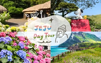 wa0nfgsg8gjrxruievot