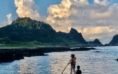 wbb8zppyazta7tafbnap