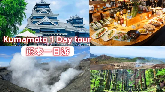 New York in One Day Guided Sightseeing Bus Tour