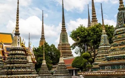 whophobzjkbffwchriwd