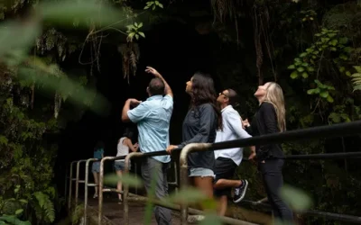 wimjqcu22qh9gdn8h7ot