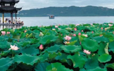 wlmgkrxwalbkvviobbju