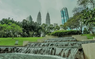 ws84o59ptigfz70a4sg6