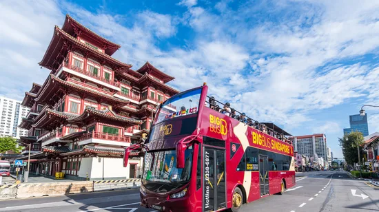 Seoul Han River Guided Night Cruise and Hangang Park Picnic