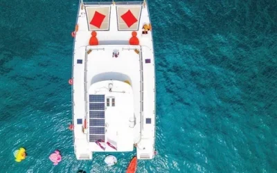 Yilan: Guishan Island Landing & Whale and Dolphin Watching & Milk Sea Around the Island|Xinfufeng No. 36 x38zewrj1twyp82ipay3