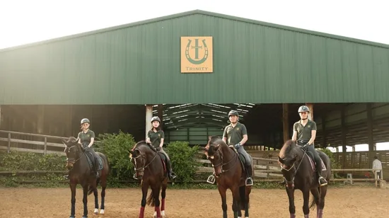 Rome City, Pantheon, and Trevi Fountain Night Tour