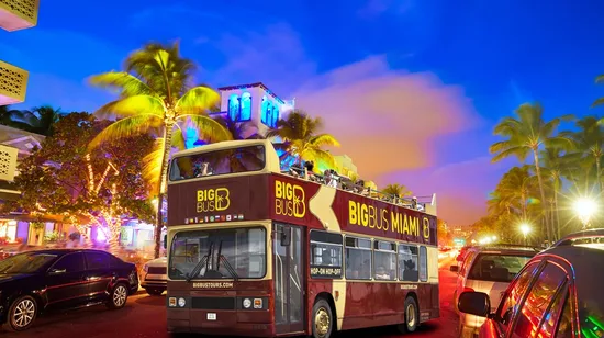 Miami Open-Top Night Bus Tour