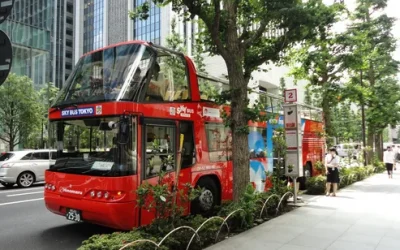 xbyscvgnzciwr8bmyldy