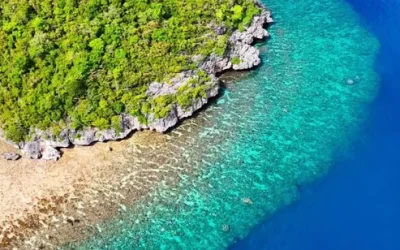 xi2ftzhs74egjhgyzpvn