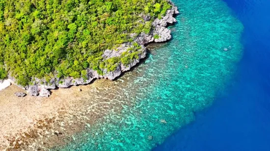 Osaka City, Backstreets of Shinsekai Half Day Food Tour