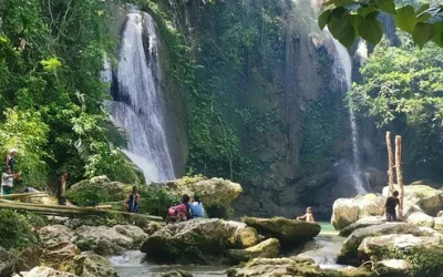 xmereauef44xoxqtvsqz