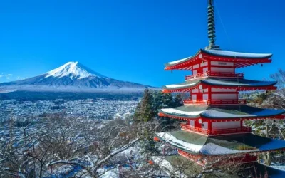 xn6mihpv9os14zqykdkm