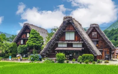 xno0bbfk1bhqm7y3cddj