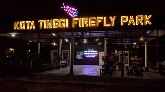 Advanced Open Water Boat Dive in Green Island