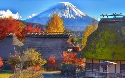 xxek6htjwvxgxbsd9zzs