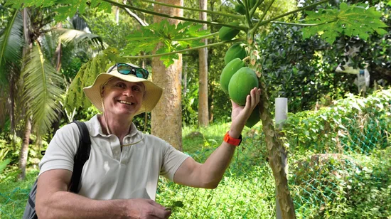 Bruges Guided Day Tour from Paris