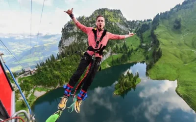 y8qizddcxwseituv85k6