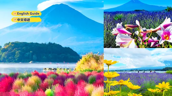 Xinjiang Luxury Northern Xinjiang PLUS 12 Days (2 nights scenic area accommodation + drone aerial photography + SLR travel photography + Provence afternoon tea + forest BBQ + tour of Sailimu Lake + Narat Valley aerial double grass