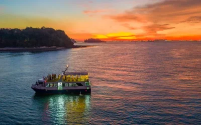 ymcdglq2mi7h2bohabpx