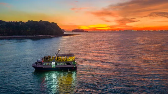 Hunter Valley Helicopters Express Flight Experience