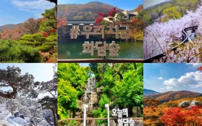 yrqbtvrhzumix8tvrzhi