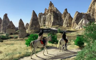 Terrarium Workshop by Horti Plant in Johor Bahru yzdzckfexyfvfiinukwj