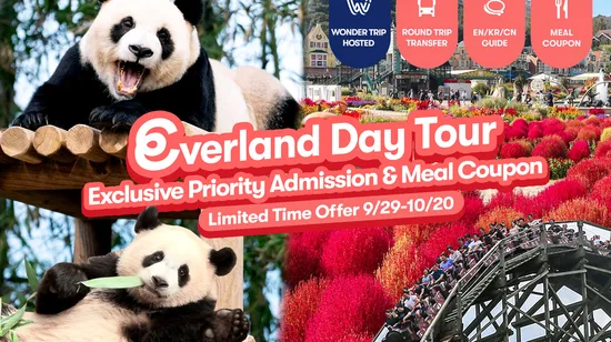 Asakusa Premium Kimono Rental & Photography By Premium Miyabi