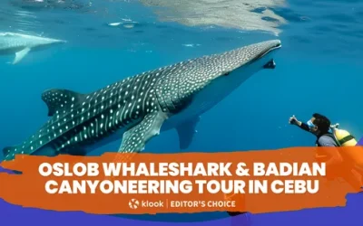 zrmouboydlizcuesaqrf