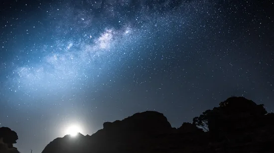 Hunter Valley Small Group Day Tour with Chinese Speaking Guide