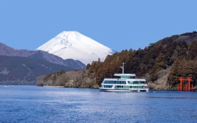 zz5yms6rrcf9rp83mafu