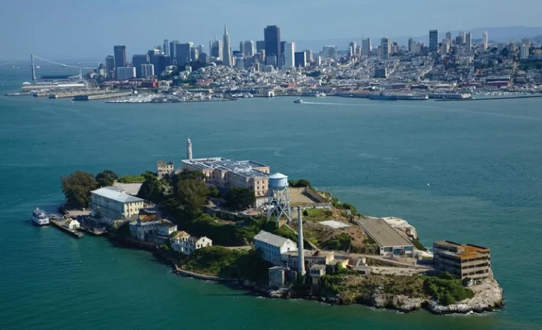 Alcatraz Island, Muir Woods, and Sausalito Join In Tour