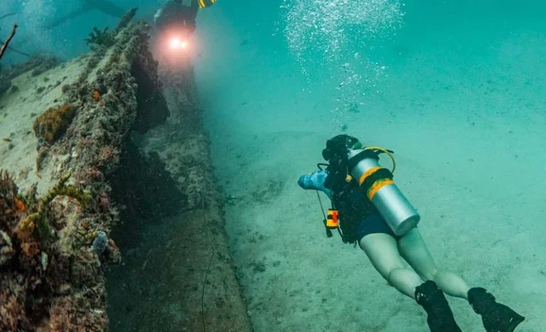 Explore More: Nitrox Course in Key Biscayne with PADI 5* Dive Center