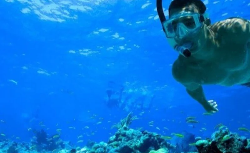 Morning or Afternoon Reef Snorkeling Experience in Key West