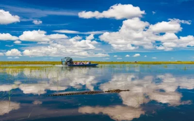 Everglades Safari Tour from Fort Lauderdale