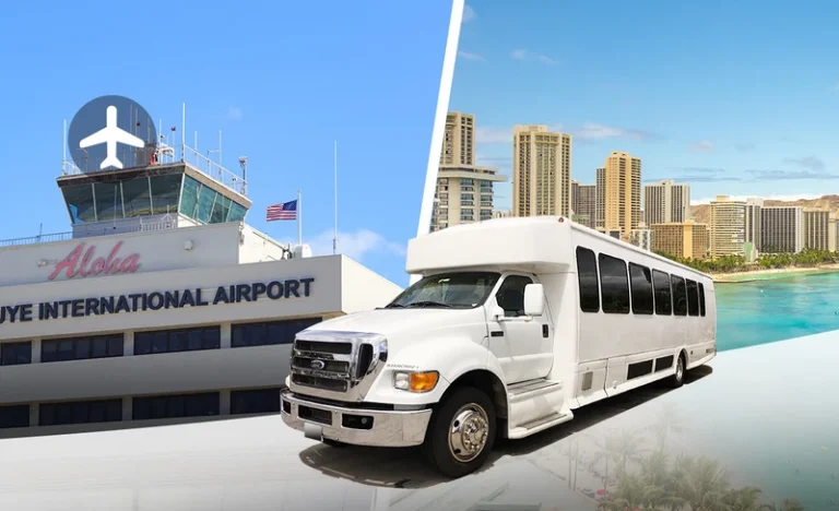 Honolulu Airport Shared Transfer (One-way Service)