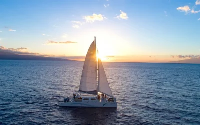 Afternoon Catamaran Cruise in Maui