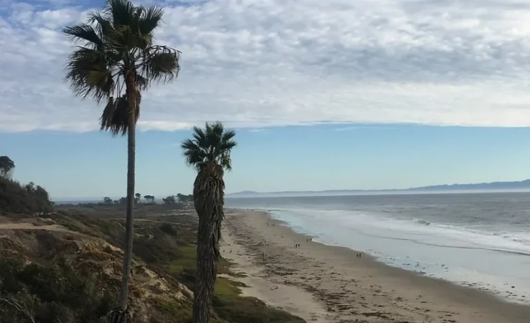 The West Side Guided Film Locations Tour in Los Angeles