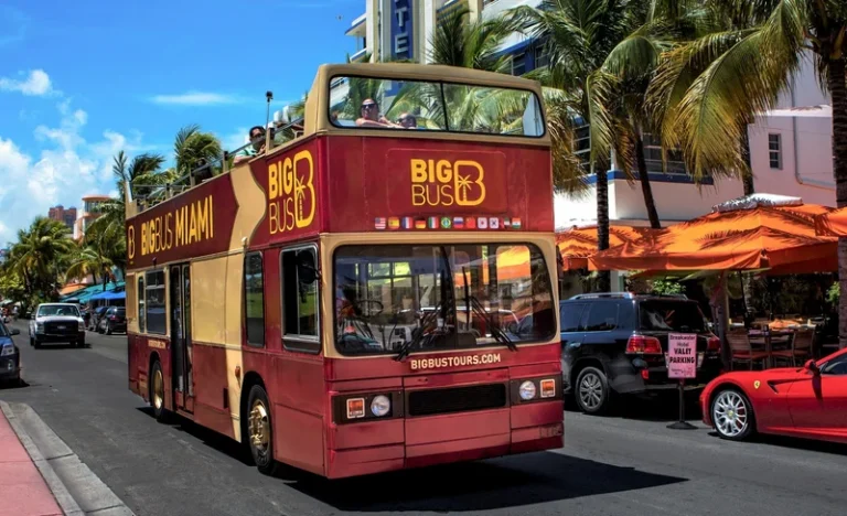Miami Big Bus Hop-On Hop-Off Tours (Open-Top)