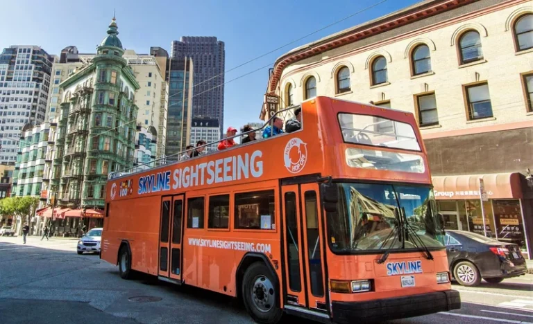 Hop-On Hop-Off Bus Tour and Night Tour in San Francisco